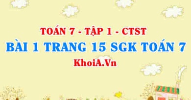 Bài 1 trang 15 SGK Toán 7 tập 1 Chân trời sáng tạo